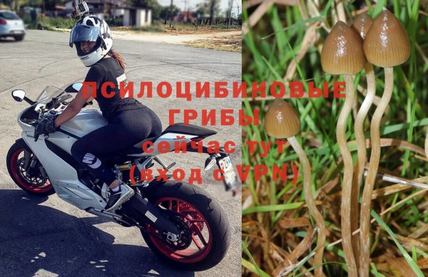spice Нефтекумск