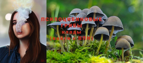 спиды Нея