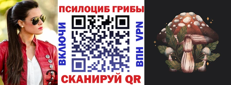 Купить где  Тольятти  Галлюциногенные грибы MAGIC MUSHROOMS 