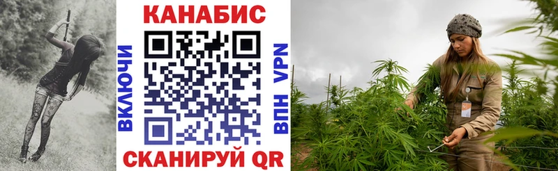 Купить закладки  Тольятти  Марихуана сатива 